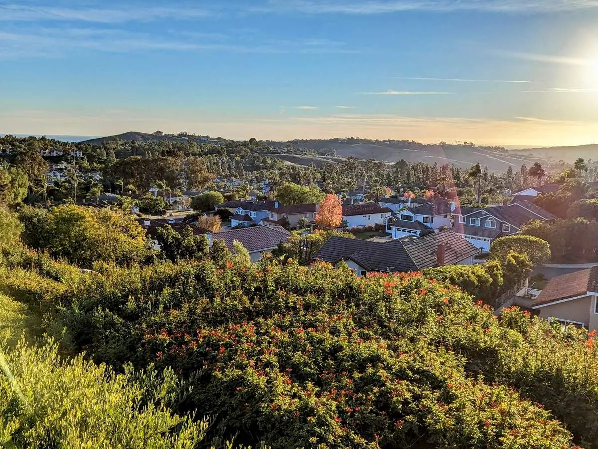 Coastal scrub on a hillside above a Southern California neighborhood at sunset