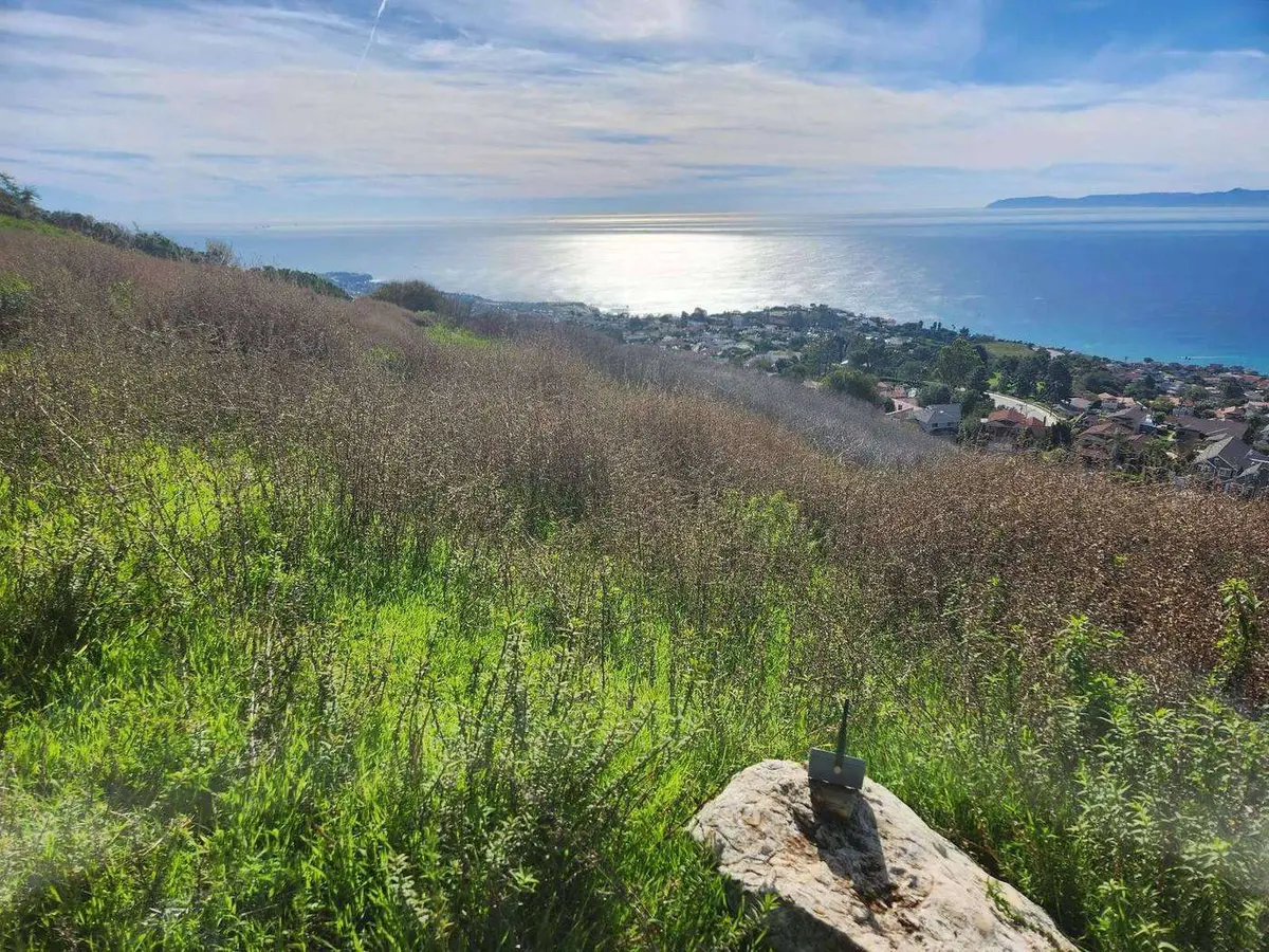 A green hilltop above the ocean, with a small node mounted on a rock